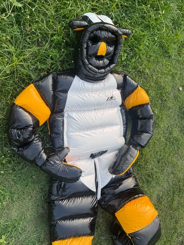 Bear suit