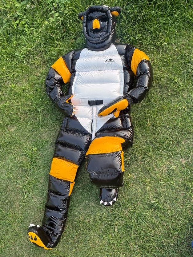 Bear suit